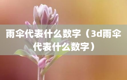 雨伞代表什么数字（3d雨伞代表什么数字）