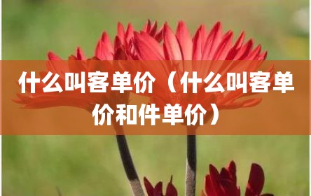 什么叫客单价（什么叫客单价和件单价）