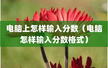 电脑上怎样输入分数（电脑怎样输入分数格式）