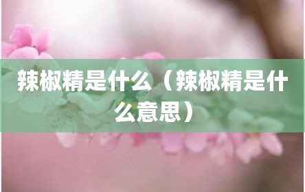 辣椒精是什么（辣椒精是什么意思）