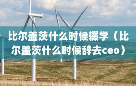 比尔盖茨什么时候辍学（比尔盖茨什么时候辞去ceo）