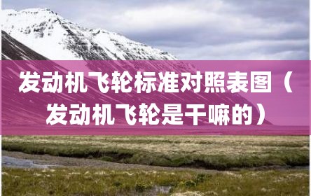 发动机飞轮标准对照表图（发动机飞轮是干嘛的）