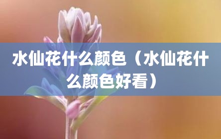 水仙花什么颜色（水仙花什么颜色好看）