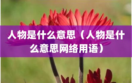 人物是什么意思（人物是什么意思网络用语）