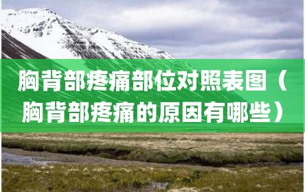 胸背部疼痛部位对照表图（胸背部疼痛的原因有哪些）