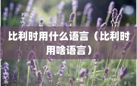 比利时用什么语言（比利时用啥语言）