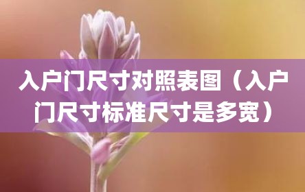 入户门尺寸对照表图（入户门尺寸标准尺寸是多宽）