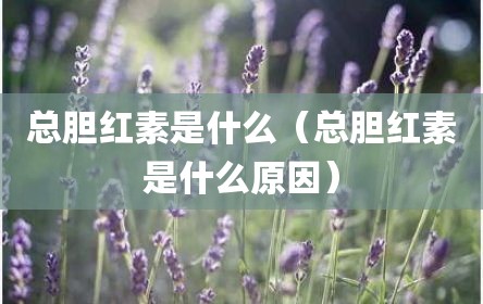 总胆红素是什么（总胆红素是什么原因）
