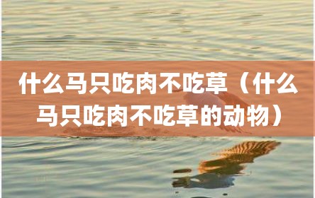 什么马只吃肉不吃草（什么马只吃肉不吃草的动物）