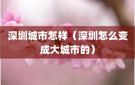 深圳城市怎样（深圳怎么变成大城市的）