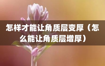 怎样才能让角质层变厚（怎么能让角质层增厚）