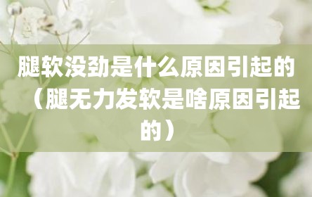 腿软没劲是什么原因引起的（腿无力发软是啥原因引起的）