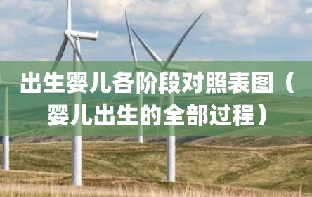 出生婴儿各阶段对照表图（婴儿出生的全部过程）