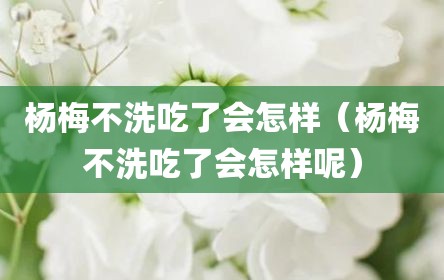 杨梅不洗吃了会怎样（杨梅不洗吃了会怎样呢）