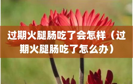 过期火腿肠吃了会怎样（过期火腿肠吃了怎么办）
