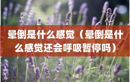 晕倒是什么感觉（晕倒是什么感觉还会呼吸暂停吗）