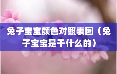 兔子宝宝颜色对照表图（兔子宝宝是干什么的）