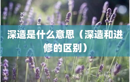 深造是什么意思（深造和进修的区别）