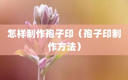 怎样制作孢子印（孢子印制作方法）