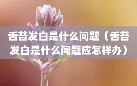 舌苔发白是什么问题（舌苔发白是什么问题应怎样办）