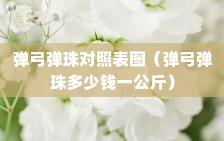 弹弓弹珠对照表图（弹弓弹珠多少钱一公斤）