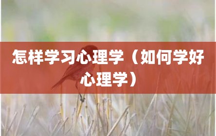怎样学习心理学（如何学好心理学）