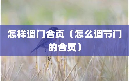 怎样调门合页（怎么调节门的合页）