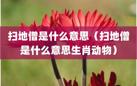 扫地僧是什么意思（扫地僧是什么意思生肖动物）