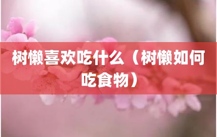 树懒喜欢吃什么（树懒如何吃食物）