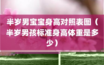 半岁男宝宝身高对照表图（半岁男孩标准身高体重是多少）
