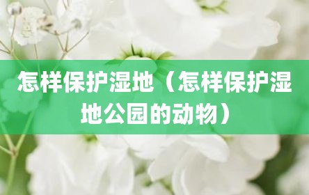 怎样保护湿地（怎样保护湿地公园的动物）