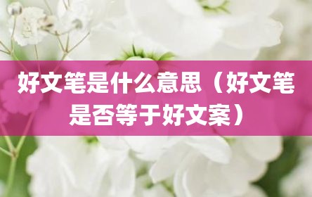 好文笔是什么意思（好文笔是否等于好文案）