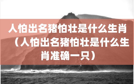人怕出名猪怕壮是什么生肖（人怕出名猪怕壮是什么生肖准确一只）