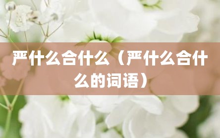 严什么合什么（严什么合什么的词语）
