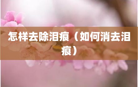 怎样去除泪痕（如何消去泪痕）