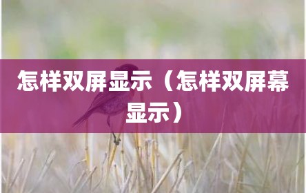 怎样双屏显示（怎样双屏幕显示）