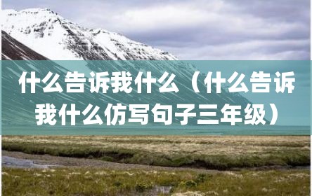 什么告诉我什么（什么告诉我什么仿写句子三年级）