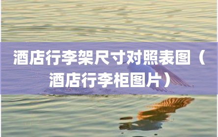 酒店行李架尺寸对照表图（酒店行李柜图片）