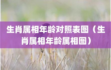 生肖属相年龄对照表图（生肖属相年龄属相图）