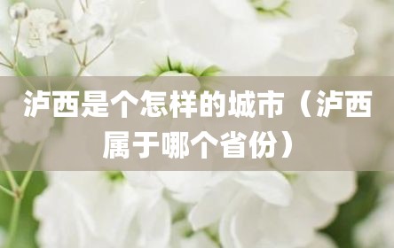 泸西是个怎样的城市（泸西属于哪个省份）