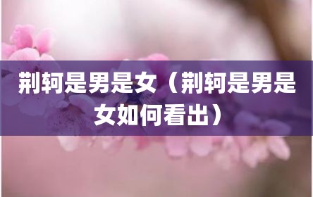 荆轲是男是女（荆轲是男是女如何看出）