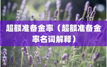 超额准备金率（超额准备金率名词解释）