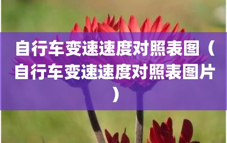 自行车变速速度对照表图（自行车变速速度对照表图片）