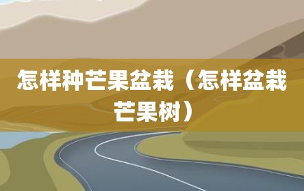 怎样种芒果盆栽（怎样盆栽芒果树）