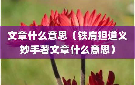文章什么意思（铁肩担道义妙手著文章什么意思）