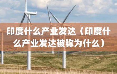 印度什么产业发达（印度什么产业发达被称为什么）
