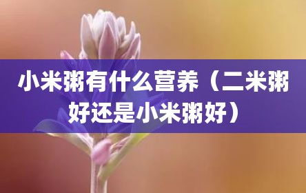小米粥有什么营养（二米粥好还是小米粥好）