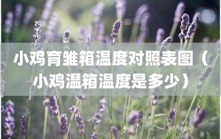 小鸡育雏箱温度对照表图（小鸡温箱温度是多少）