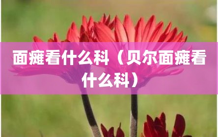 面瘫看什么科（贝尔面瘫看什么科）