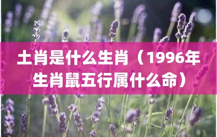 土肖是什么生肖（1996年生肖鼠五行属什么命）